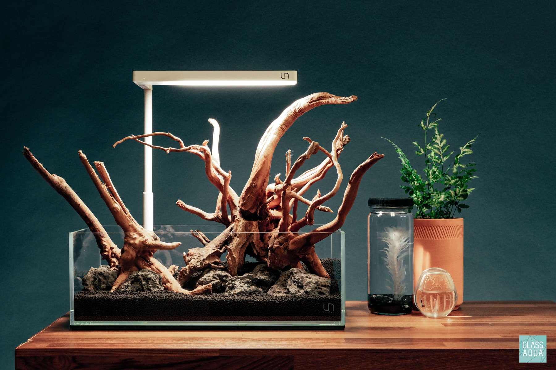 Glass Aqua Quick Scapes | Custom Aquascape Layout for Planted Tanks