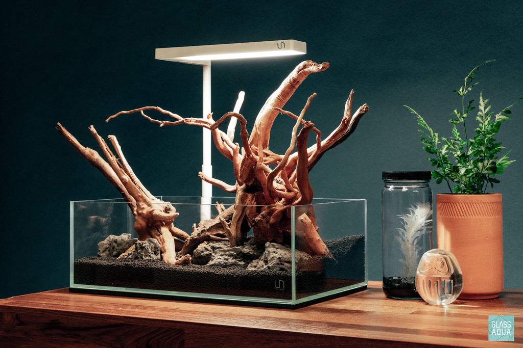 Shop Planted Aquarium Spider Wood Hardscape - Glass Aqua