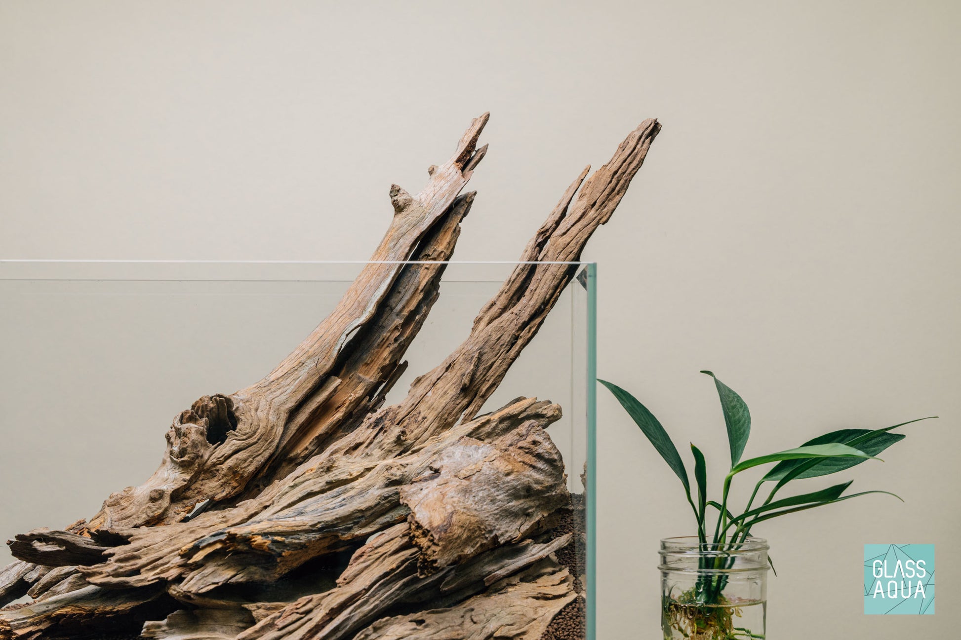 Quick Scape 074 | Custom Aquascape Layout for Planted Aquarium Tank