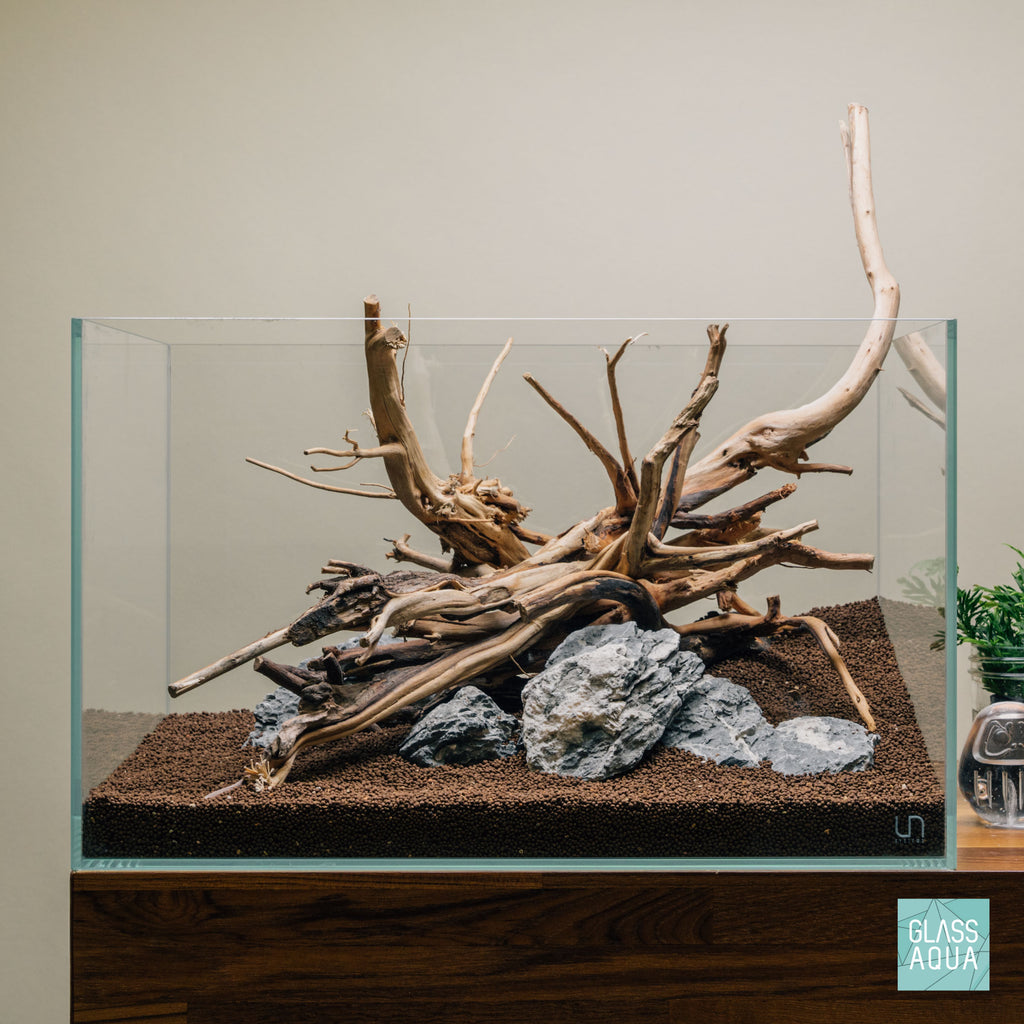 Quick Scape 077 | Custom Aquascape Layout for Planted Aquarium Tank