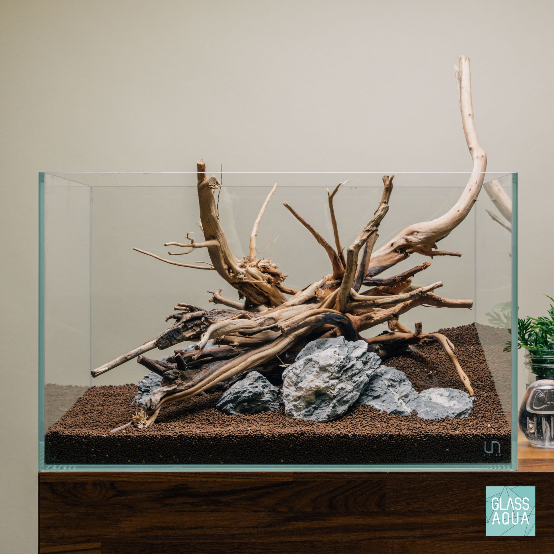 Quick Scape 077 | Custom Aquascape Layout for Planted Aquarium Tank