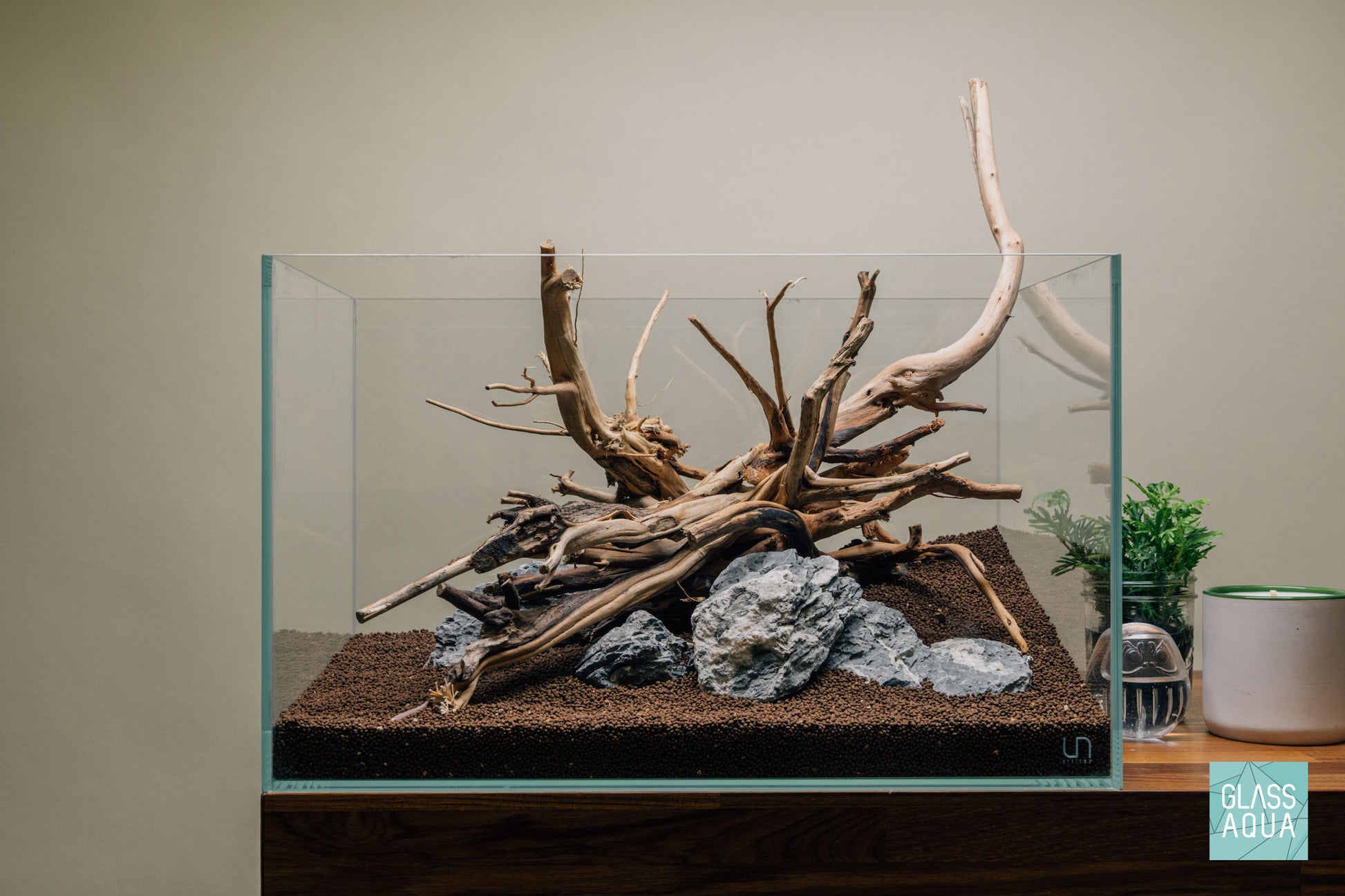 Quick Scape 077 | Custom Aquascape Layout for Planted Aquarium Tank