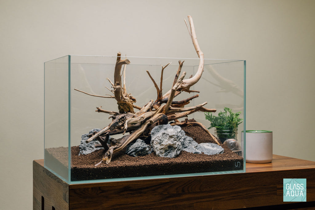 Quick Scape 077 | Custom Aquascape Layout for Planted Aquarium Tank