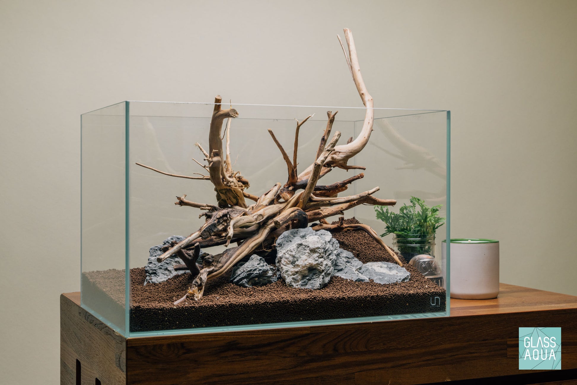Quick Scape 077 | Custom Aquascape Layout for Planted Aquarium Tank