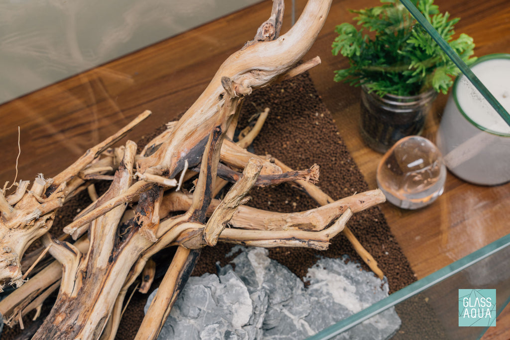 Quick Scape 077 | Custom Aquascape Layout for Planted Aquarium Tank
