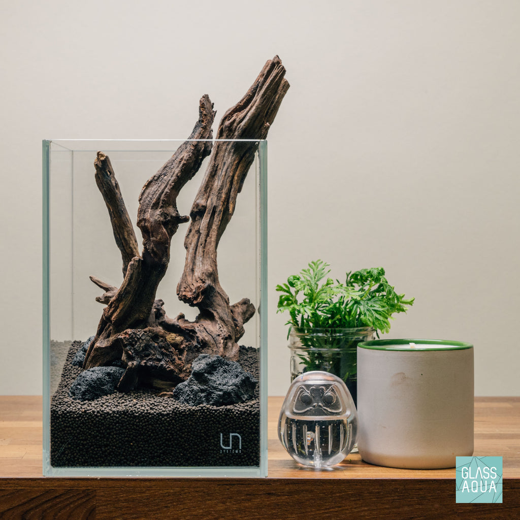 Quick Scape 079 | Custom Aquascape Layout for Planted Aquarium Tank