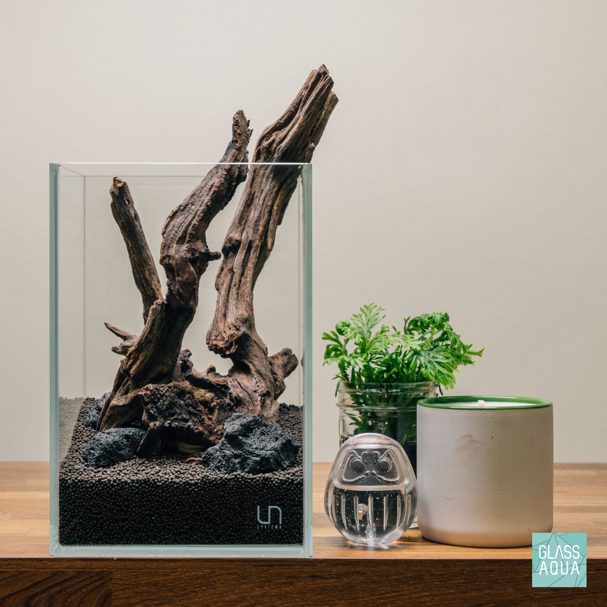 Quick Scape 079 | Custom Aquascape Layout for Planted Aquarium Tank
