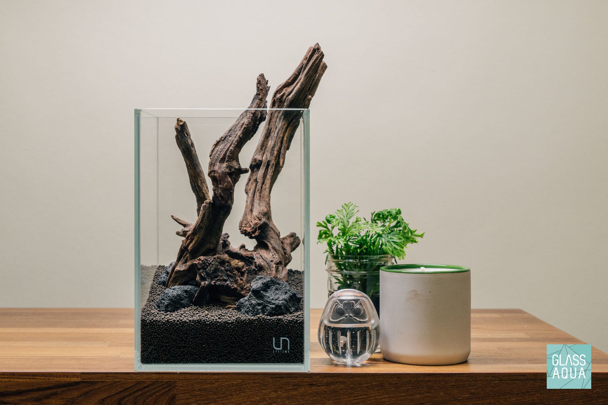 Quick Scape 079 | Custom Aquascape Layout for Planted Aquarium Tank