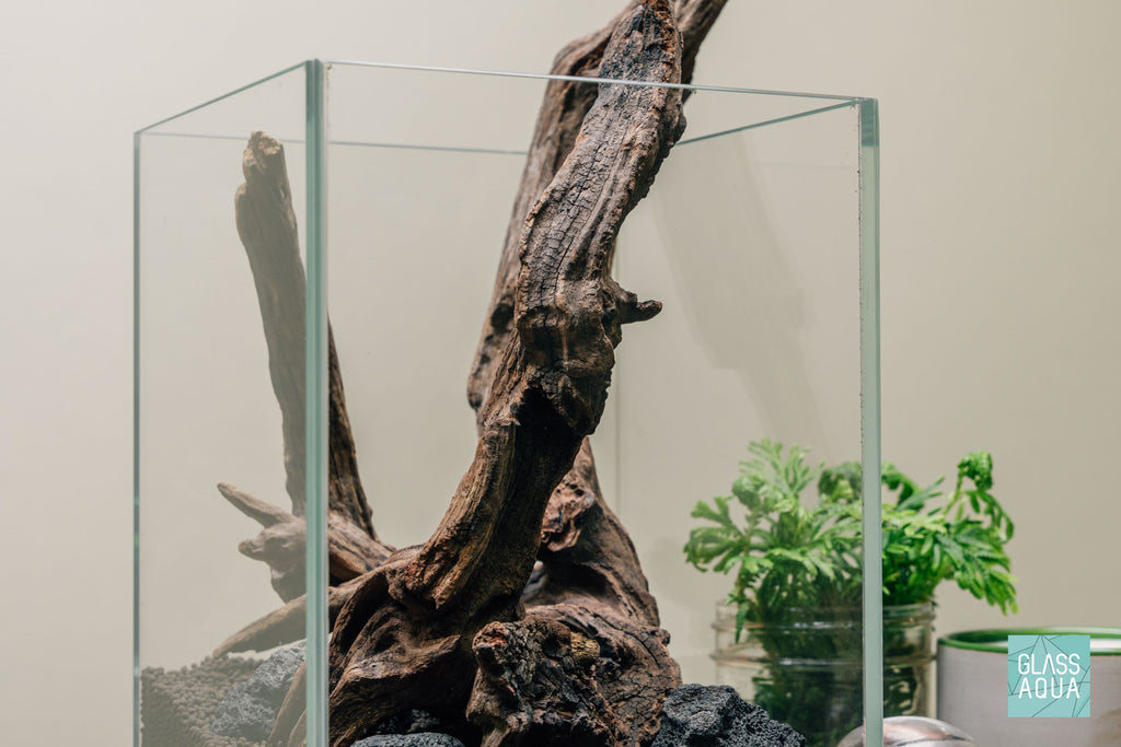 Quick Scape 079 | Custom Aquascape Layout for Planted Aquarium Tank