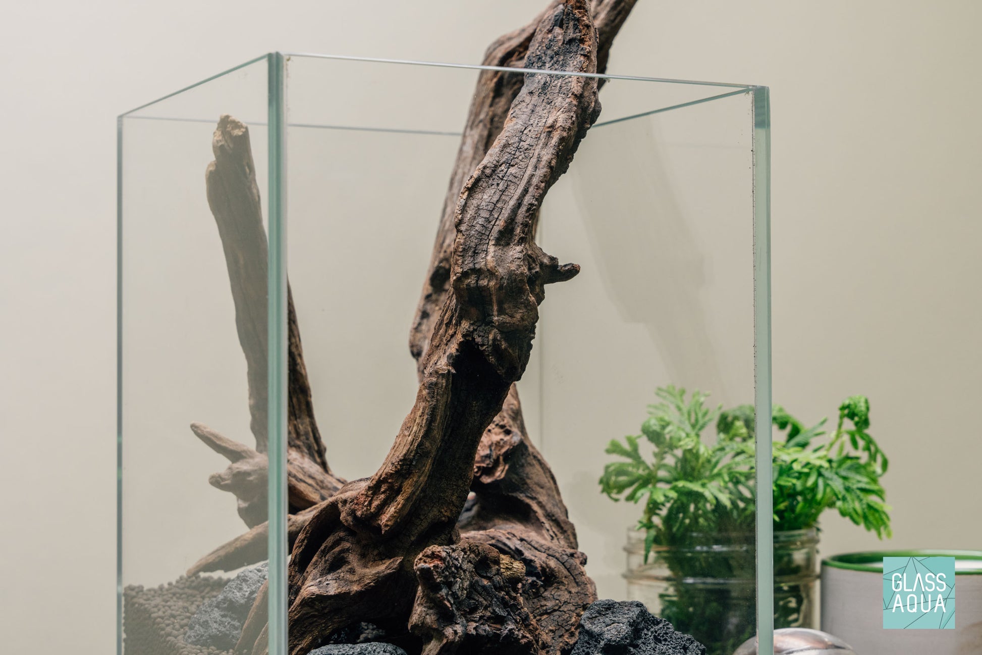 Quick Scape 079 | Custom Aquascape Layout for Planted Aquarium Tank