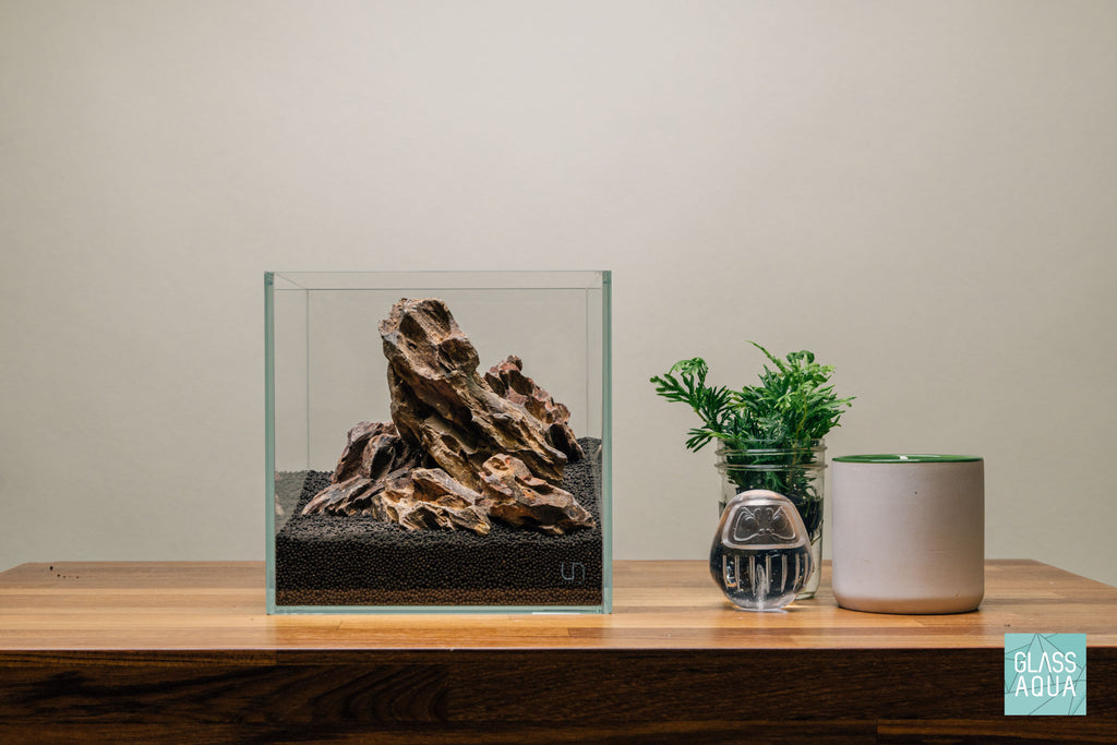 Quick Scape 081 | Custom Aquascape Layout for Planted Aquarium Tank