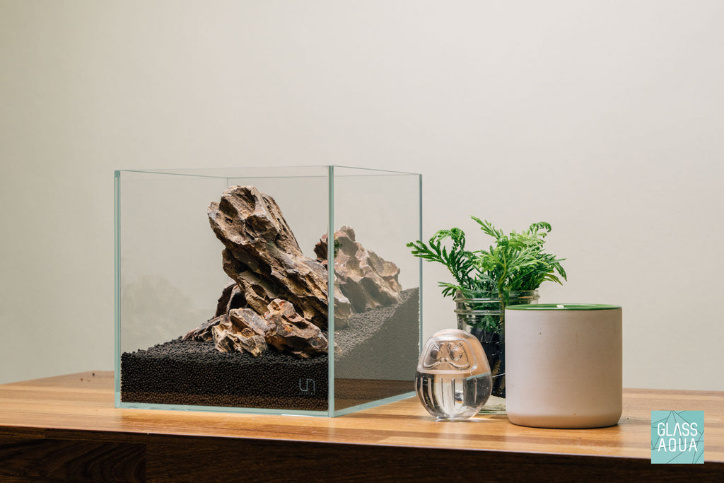Quick Scape 081 | Custom Aquascape Layout for Planted Aquarium Tank