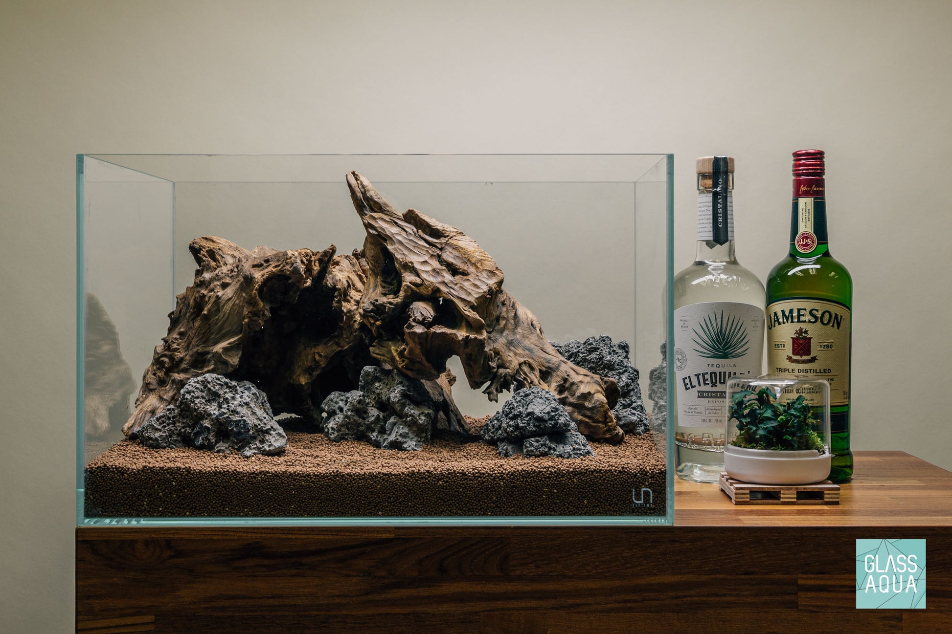 Quick Scape 100 | Custom Aquascape Layout for Planted Aquarium Tank