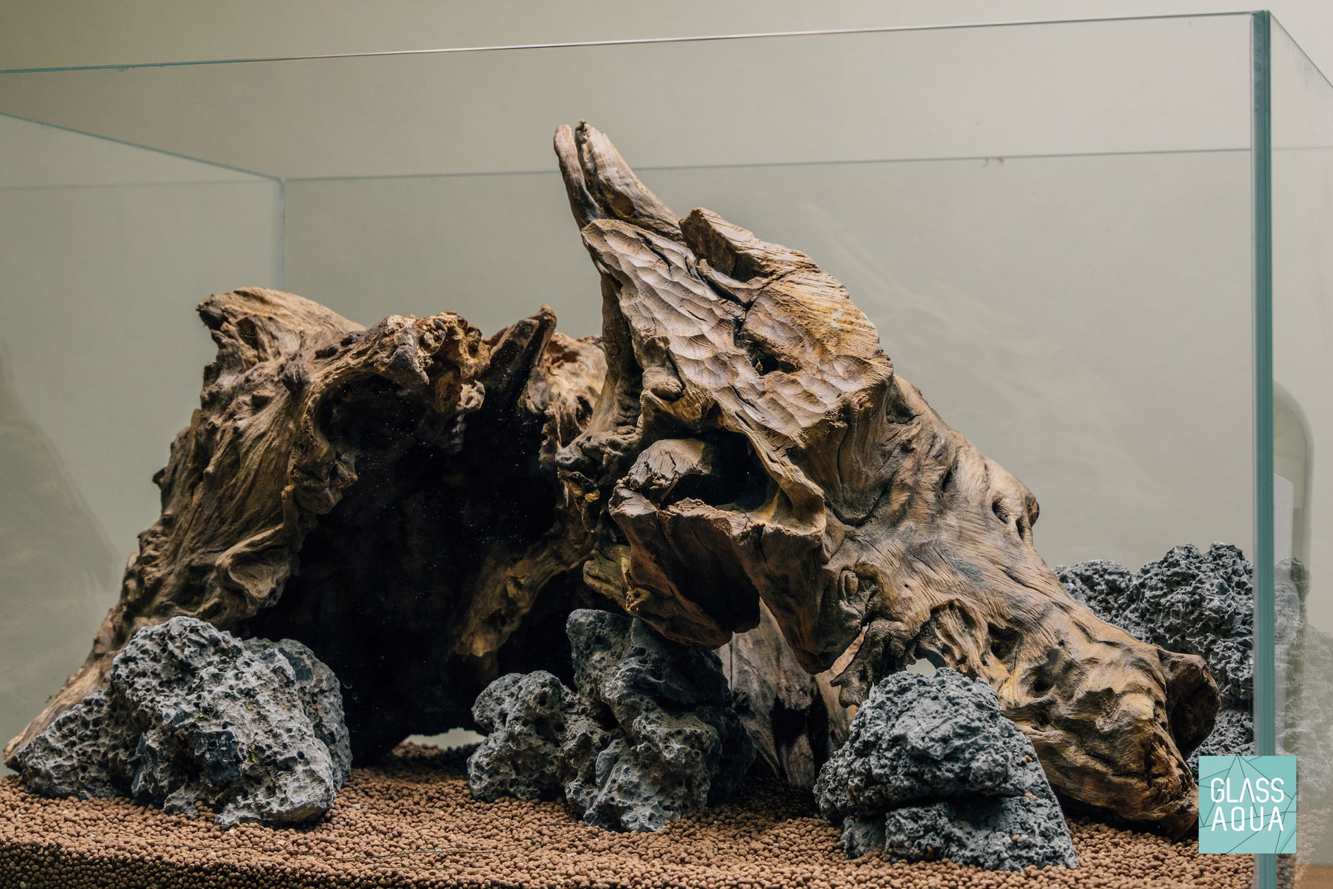 Quick Scape 100 | Custom Aquascape Layout for Planted Aquarium Tank