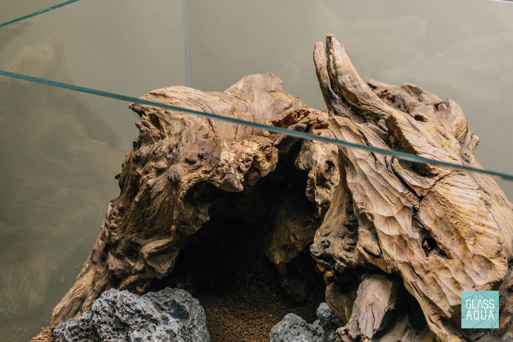 Quick Scape 100 | Custom Aquascape Layout for Planted Aquarium Tank