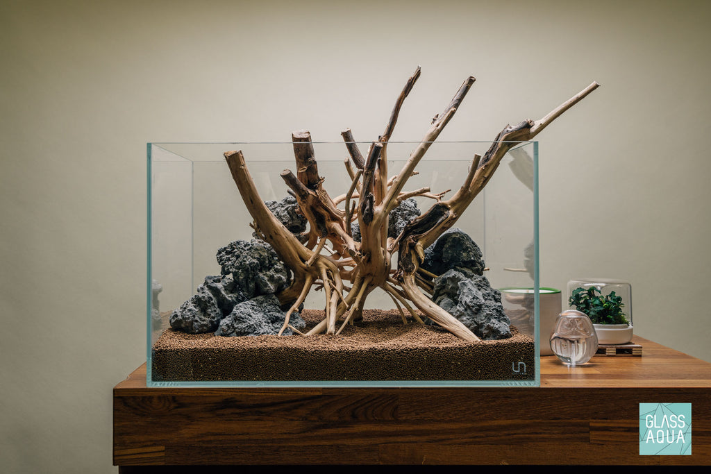 Quick Scape 104 | Custom Aquascape Layout for Planted Aquarium Tank