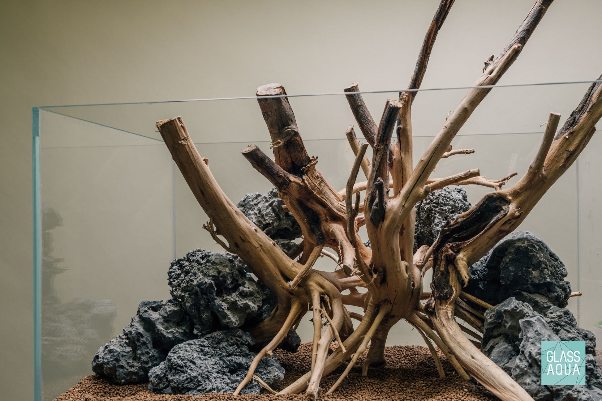 Quick Scape 104 | Custom Aquascape Layout for Planted Aquarium Tank