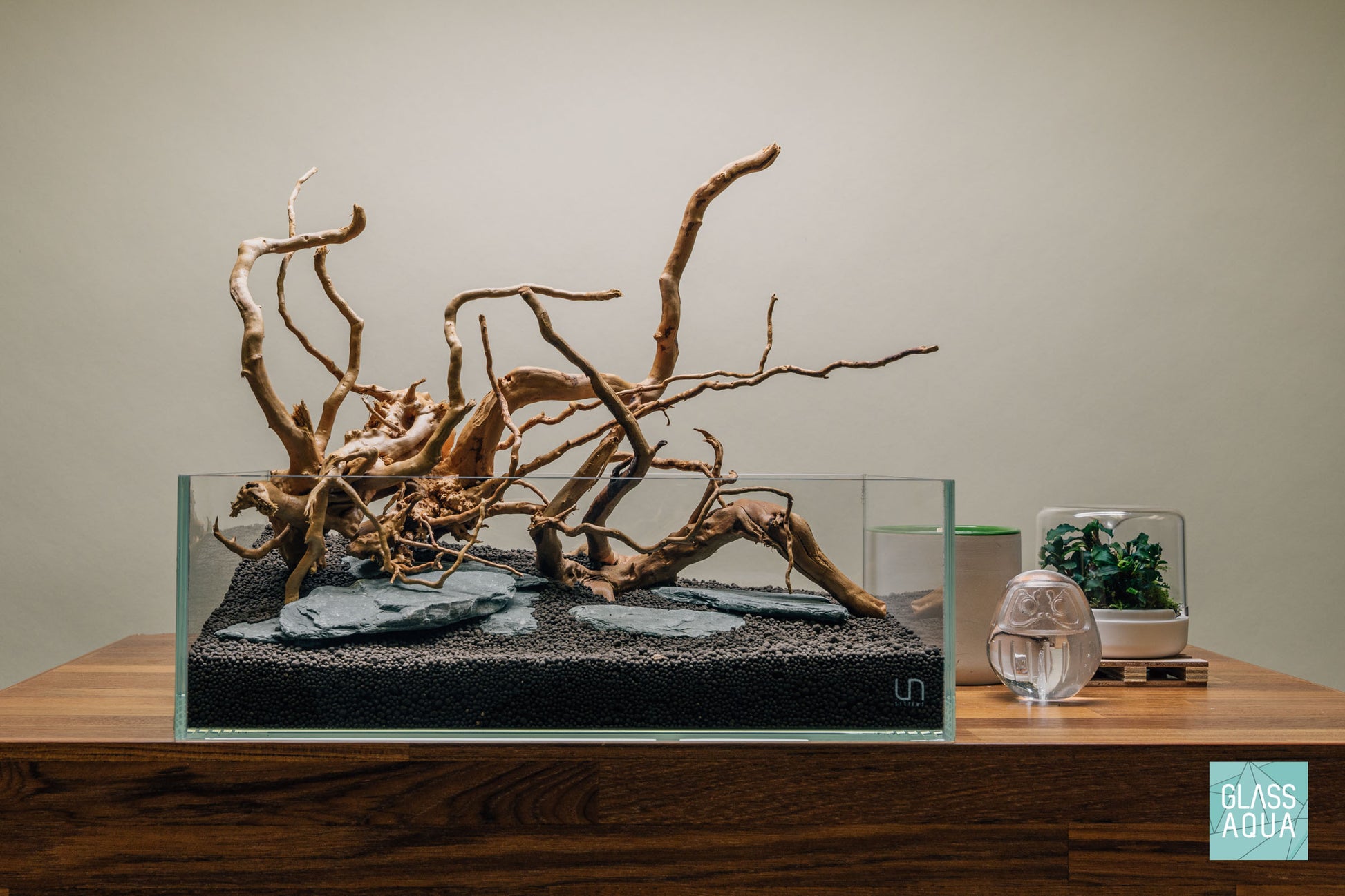 Quick Scape 105 | Custom Aquascape Layout for Planted Aquarium Tank