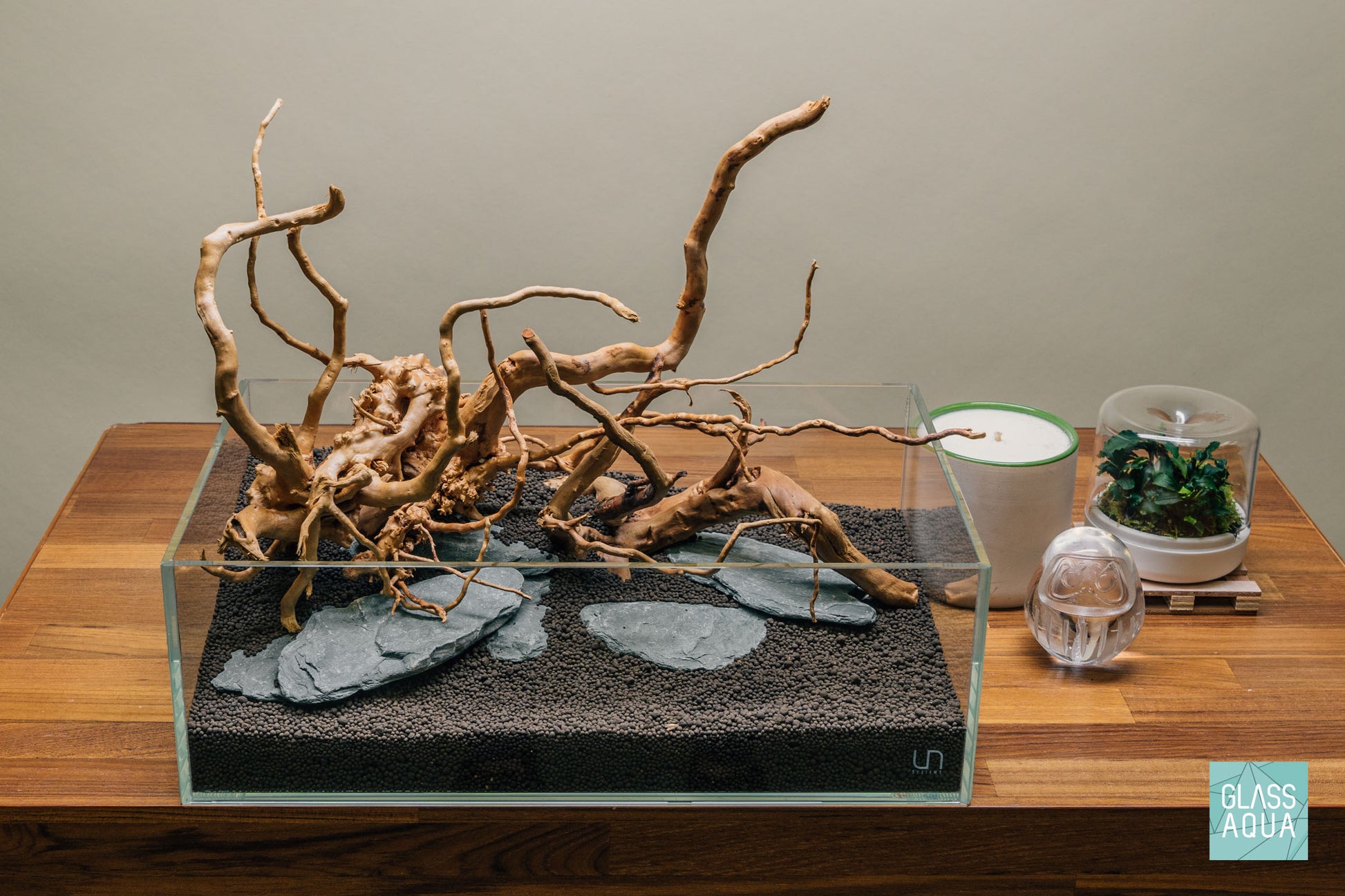 Quick Scape 105 | Custom Aquascape Layout for Planted Aquarium Tank