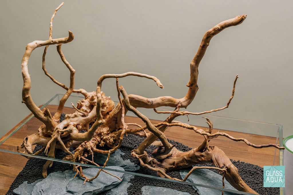 Quick Scape 105 | Custom Aquascape Layout for Planted Aquarium Tank