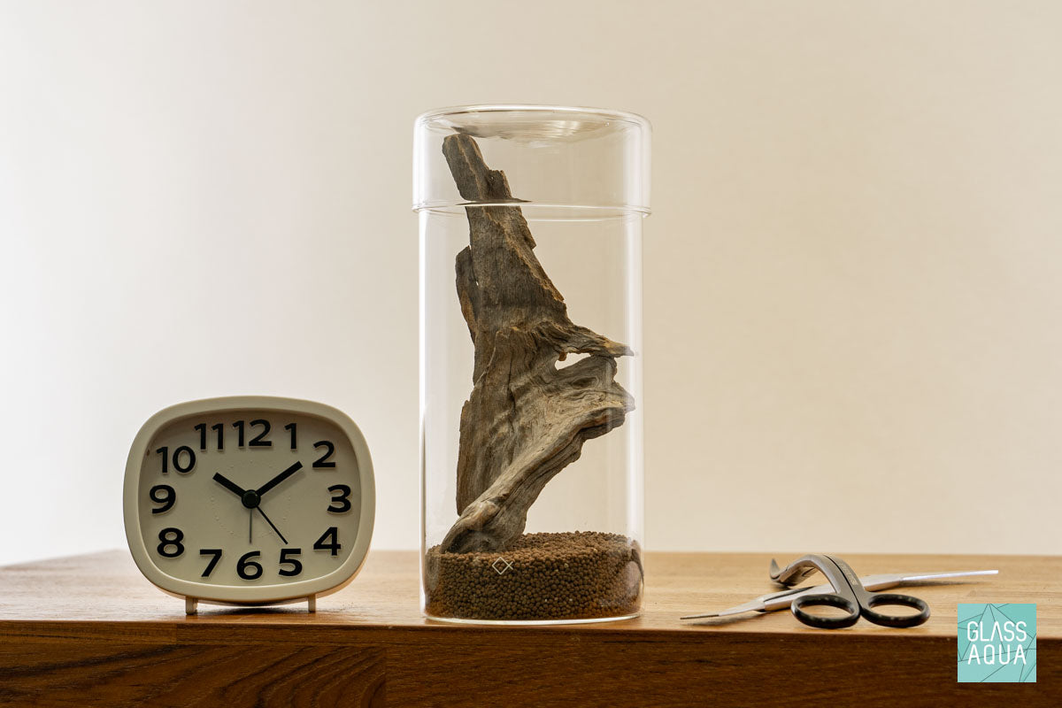 Miniature Terrarium Kit 001 - Glass Aqua