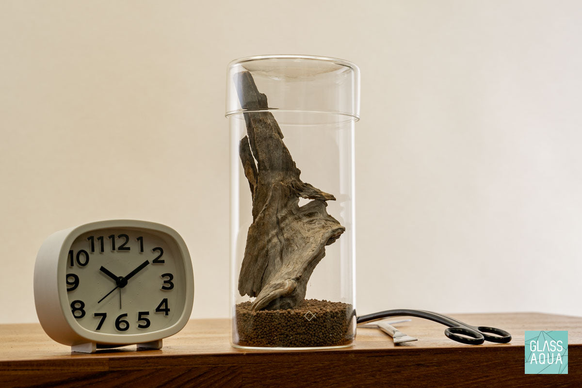 Miniature Terrarium Kit 001 - Glass Aqua