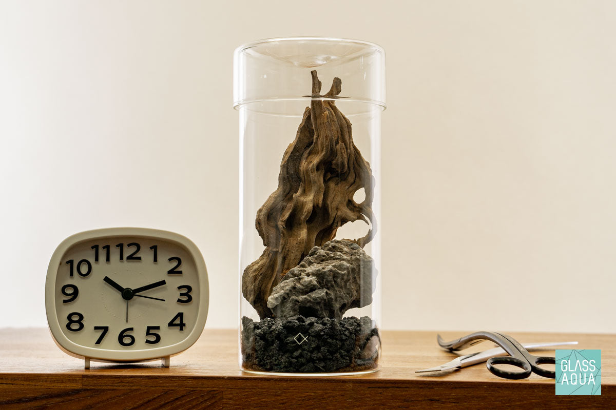 Miniature Terrarium Kit 002 - Glass Aqua