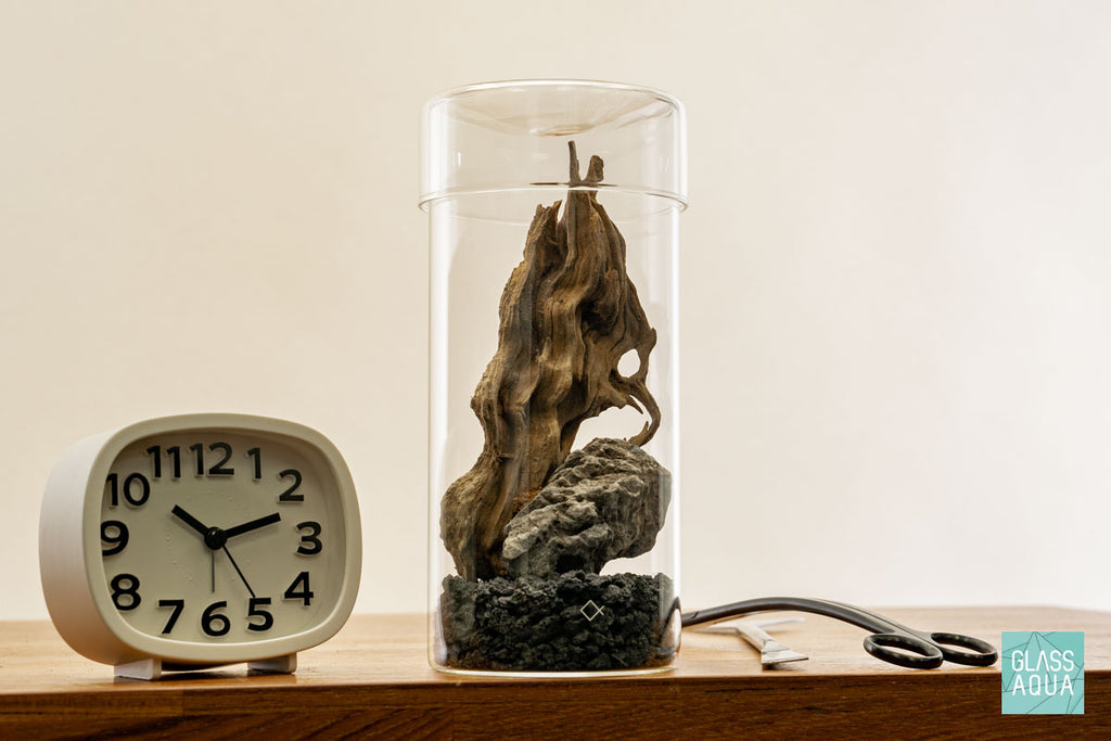 Miniature Terrarium Kit 002 - Glass Aqua