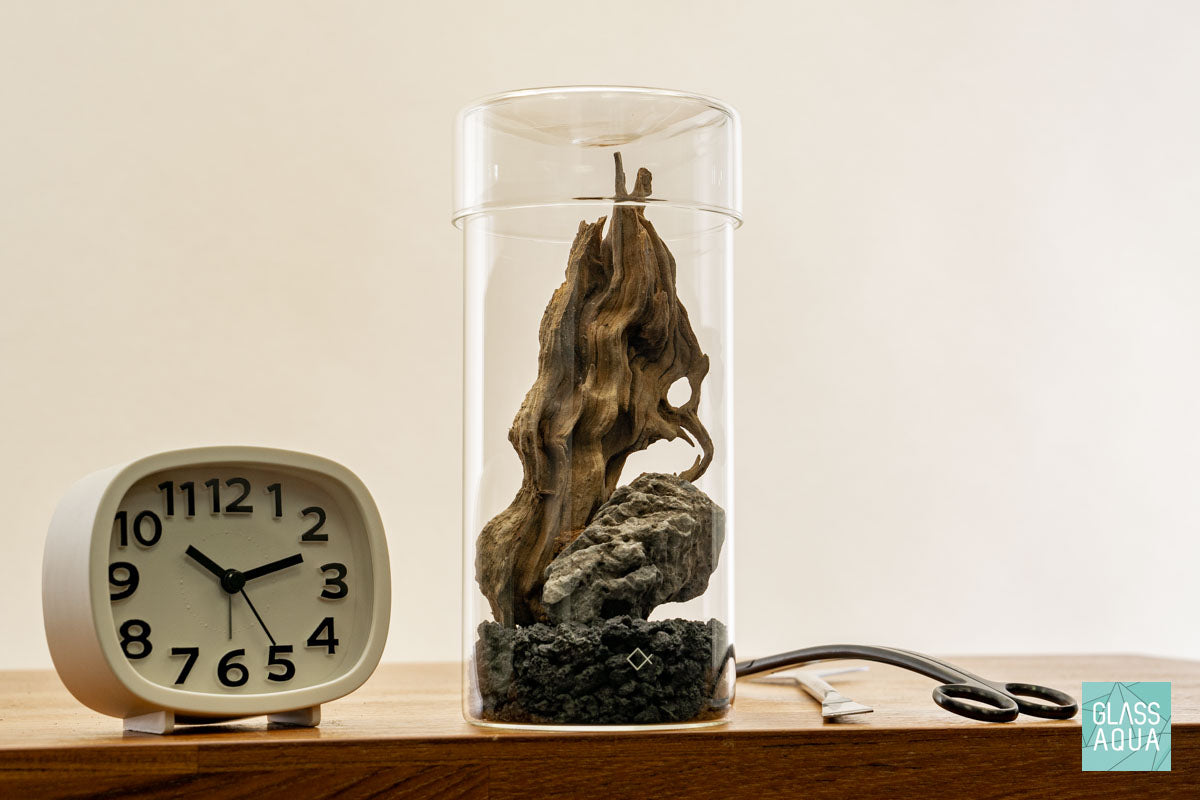Miniature Terrarium Kit 002 - Glass Aqua