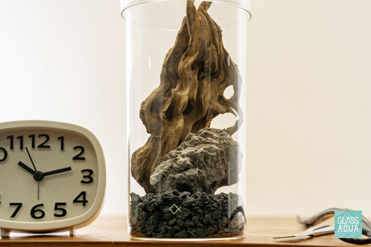 Miniature Terrarium Kit 002 - Glass Aqua