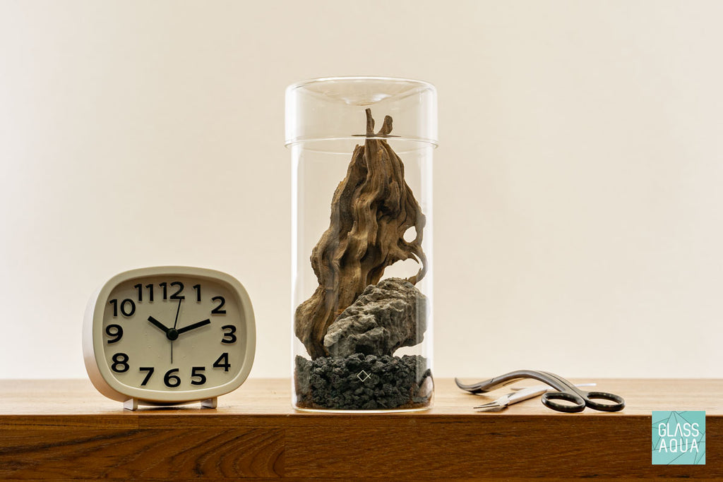 Miniature Terrarium Kit 002 - Glass Aqua