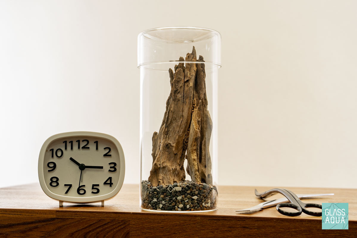 Miniature Terrarium Kit 003 - Glass Aqua
