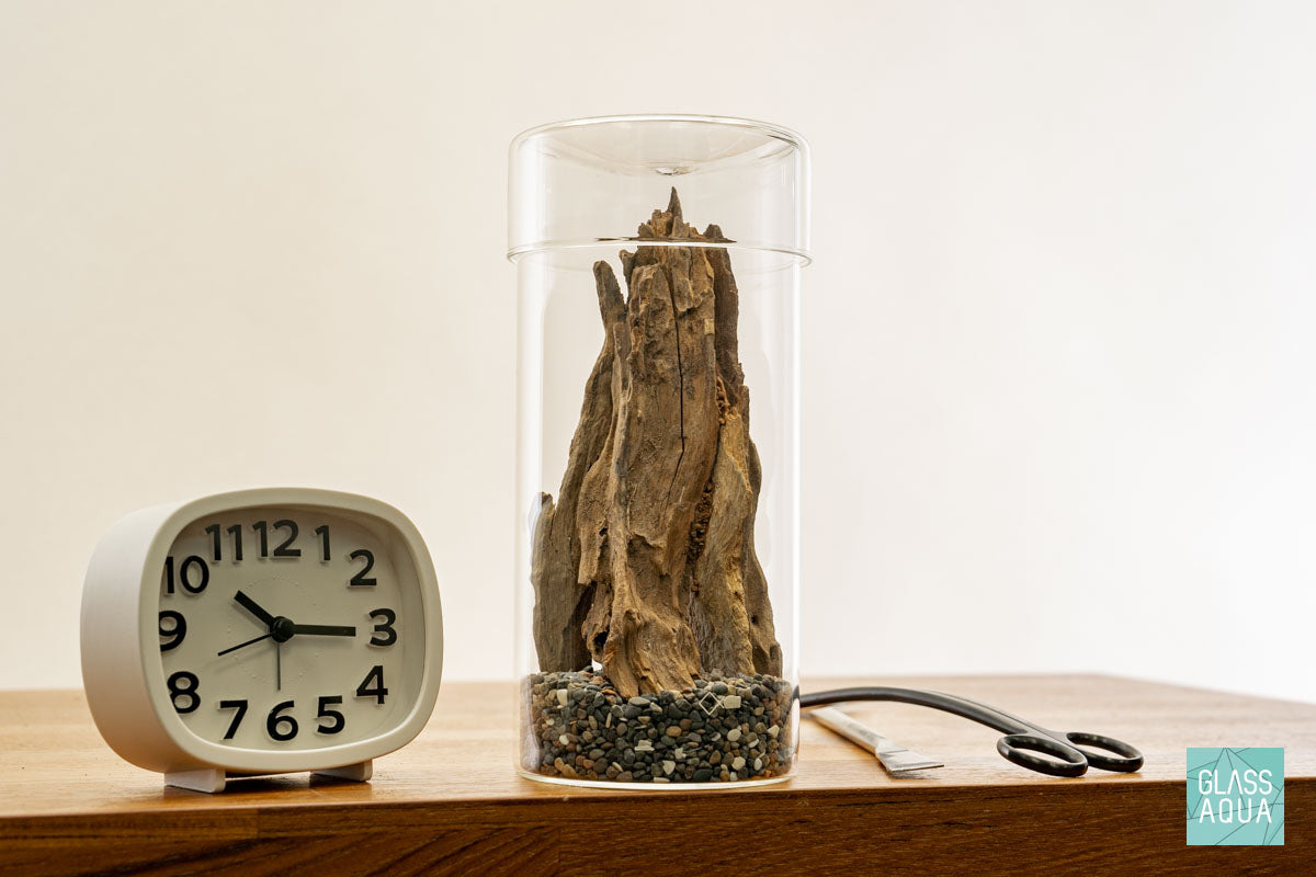 Miniature Terrarium Kit 003 - Glass Aqua