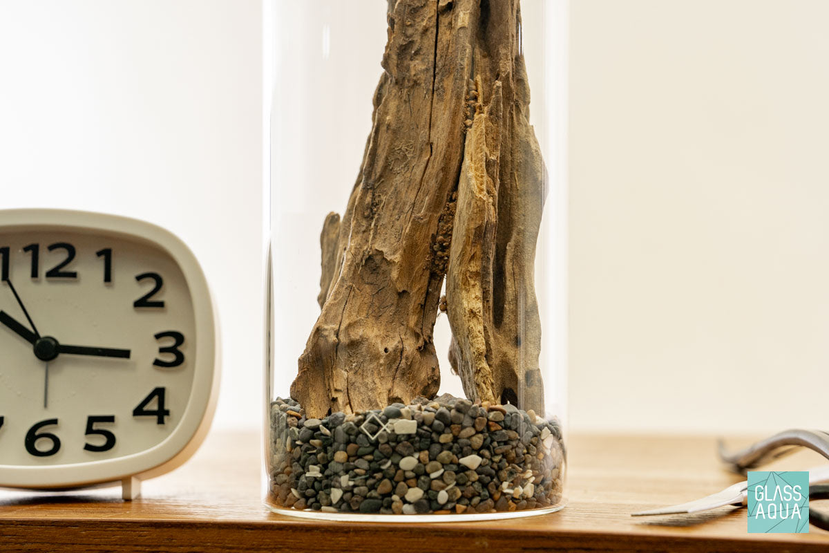 Miniature Terrarium Kit 003 - Glass Aqua