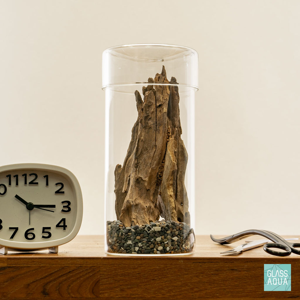 Miniature Terrarium Kit 003 - Glass Aqua