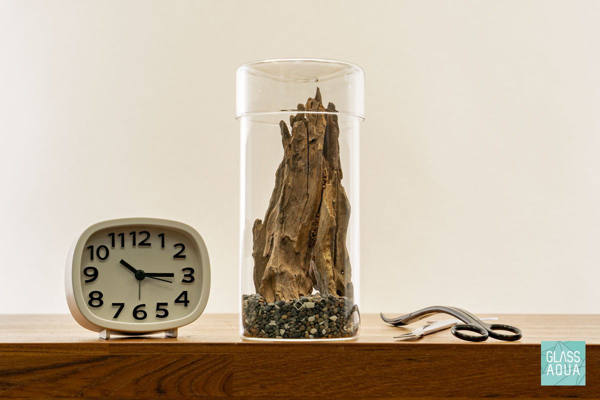 Miniature Terrarium Kit 003 - Glass Aqua