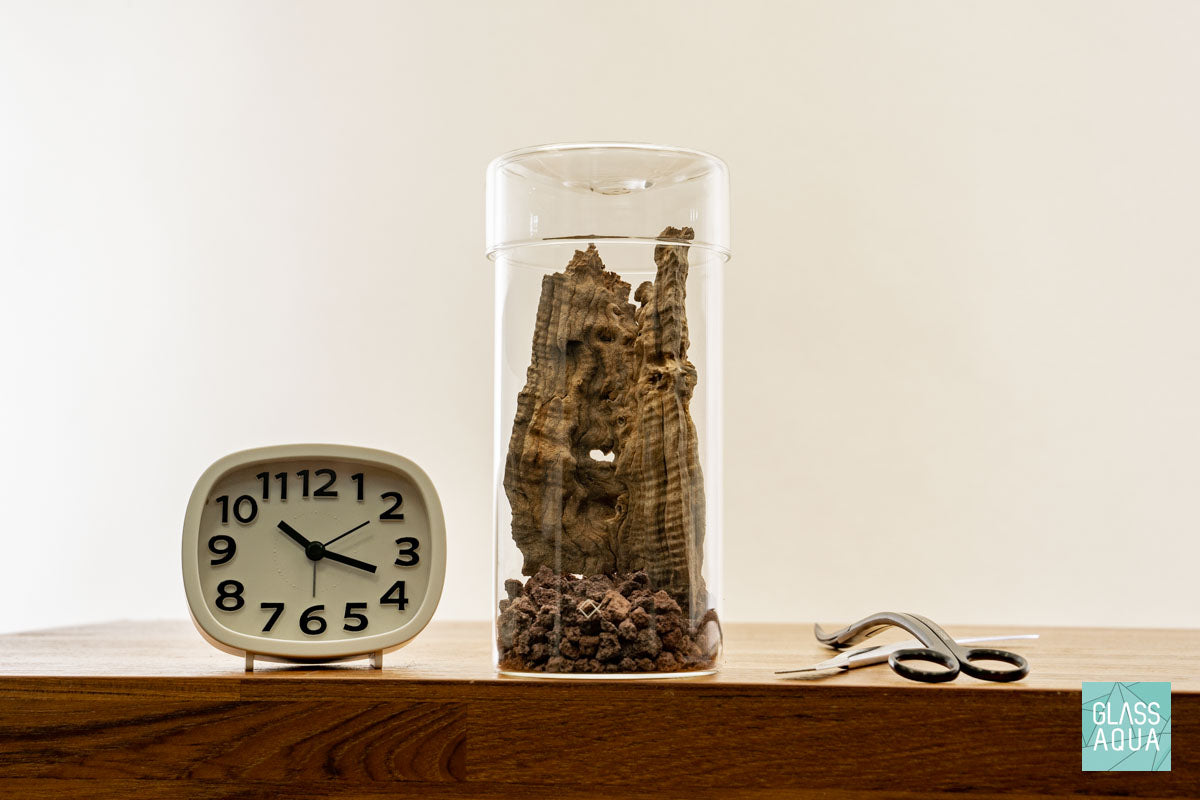 Miniature Terrarium Kit 004 - Glass Aqua