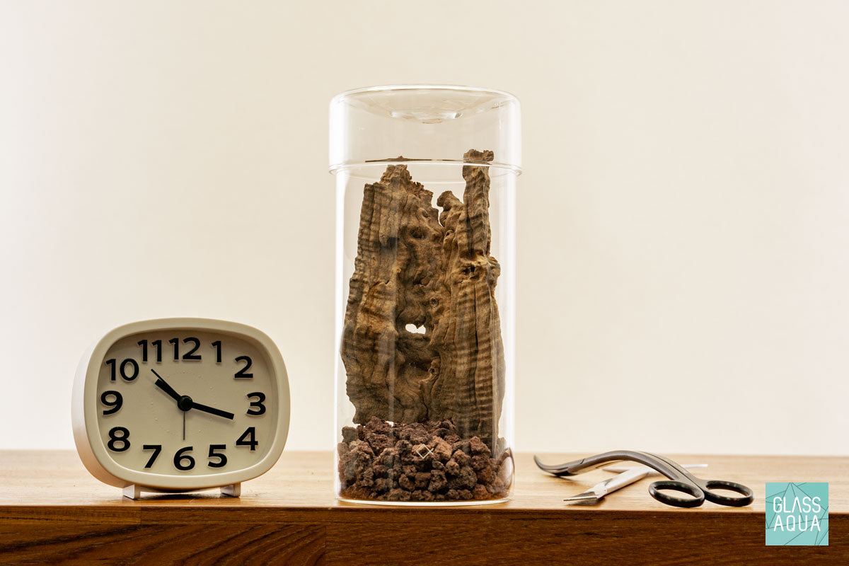 Miniature Terrarium Kit 004 - Glass Aqua