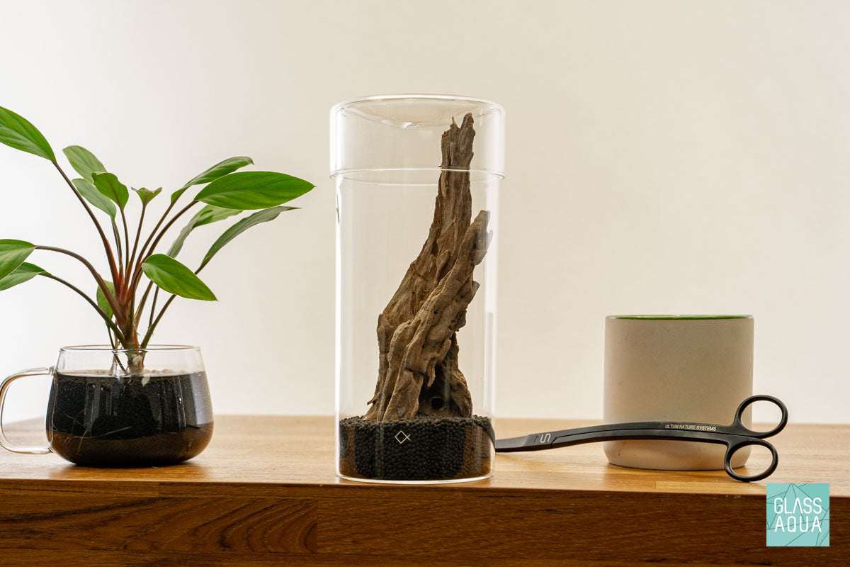 Miniature Terrarium Kit 005 - Glass Aqua