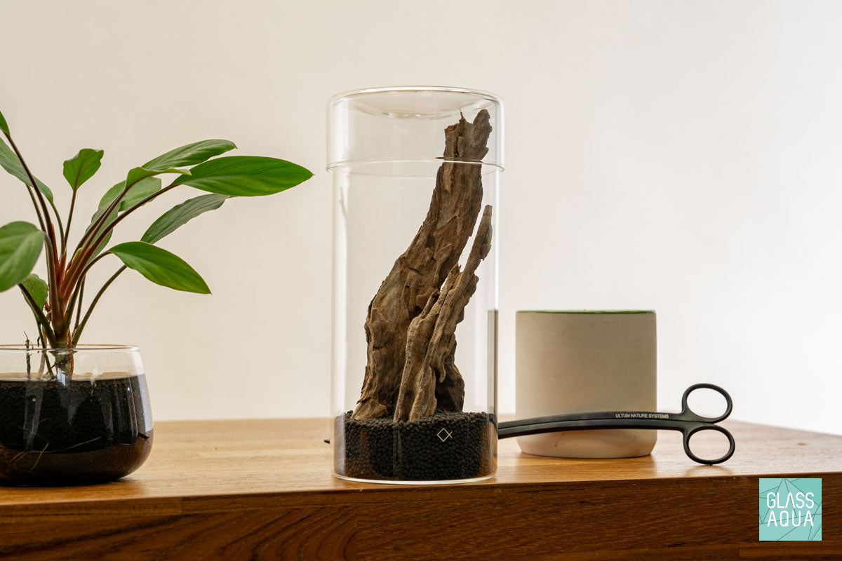 Miniature Terrarium Kit 005 - Glass Aqua