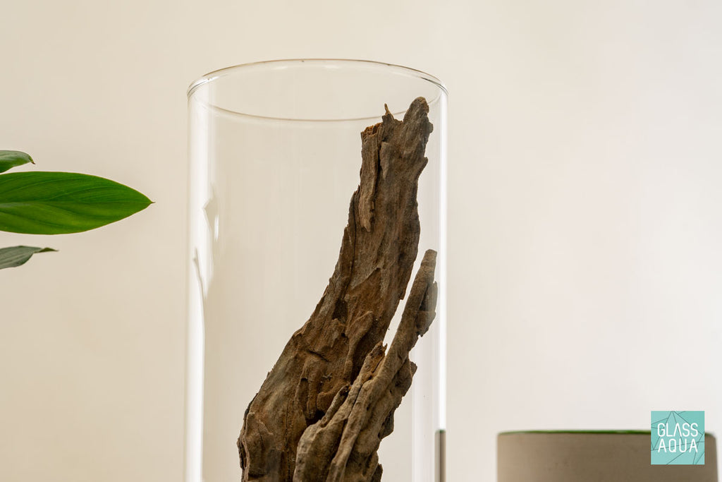 Miniature Terrarium Kit 005 - Glass Aqua