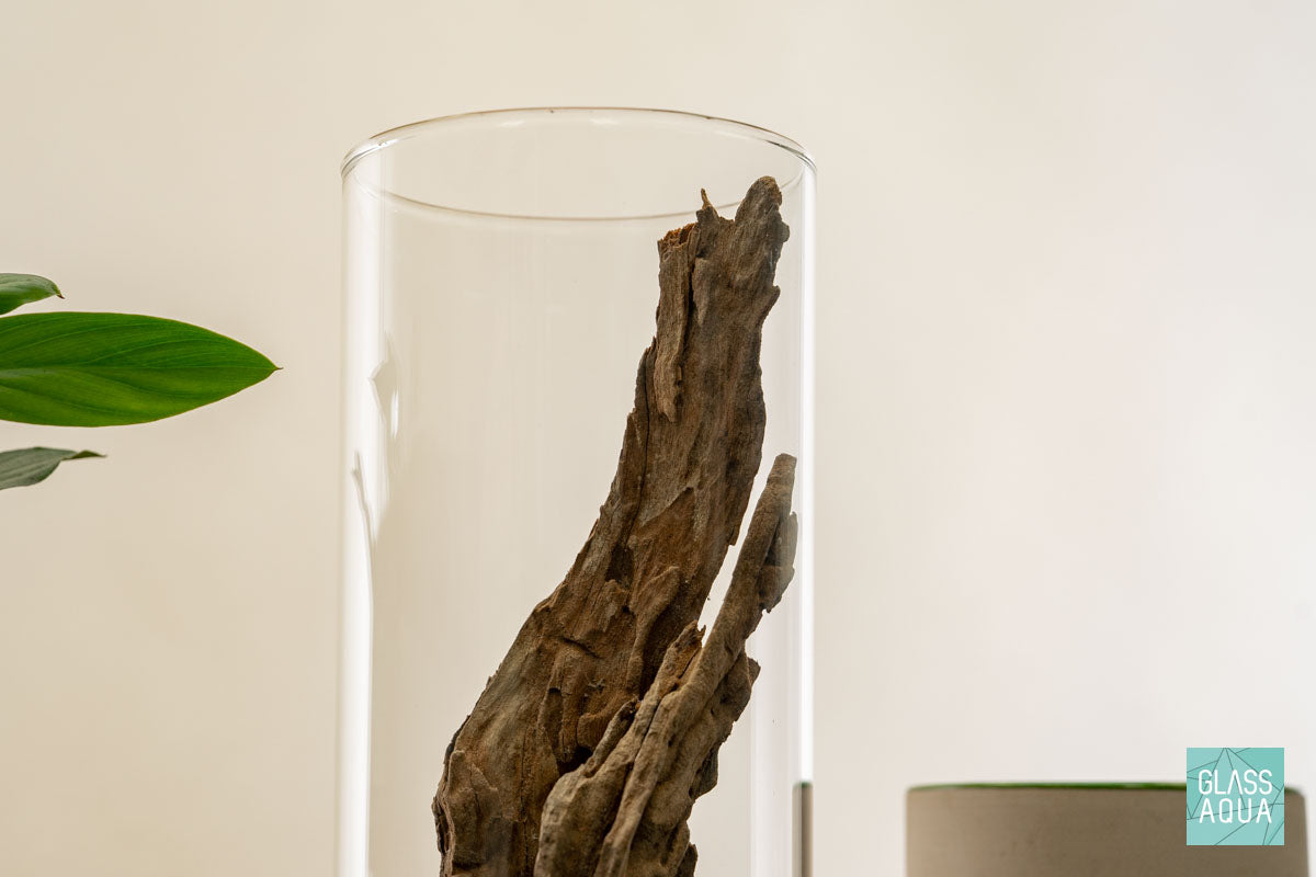 Miniature Terrarium Kit 005 - Glass Aqua