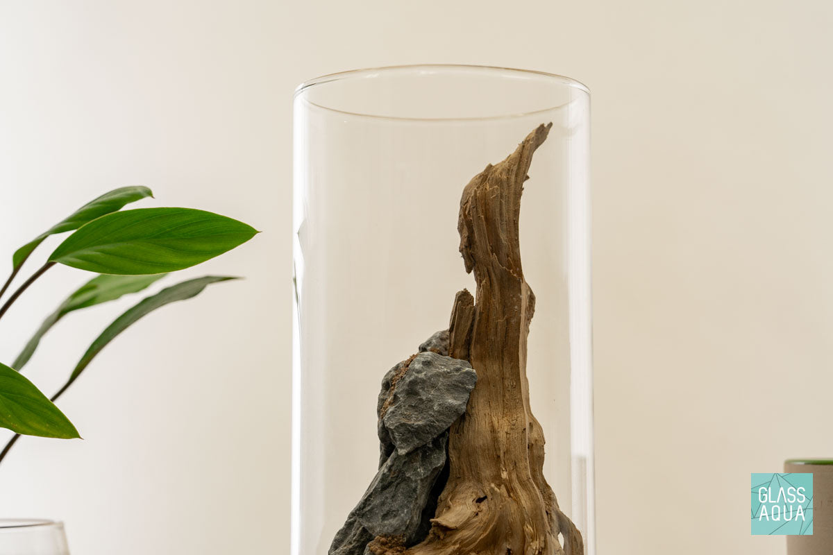 Miniature Terrarium Kit 006 - Glass Aqua