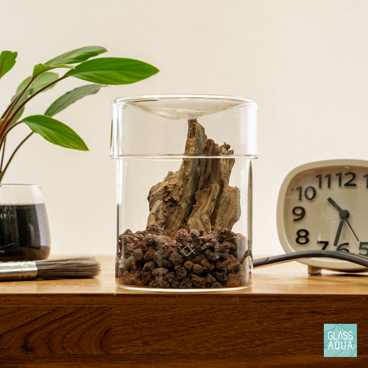 Custom Terrarium Kit | Shop Ready Mini Terrariums 009 - Glass Aqua