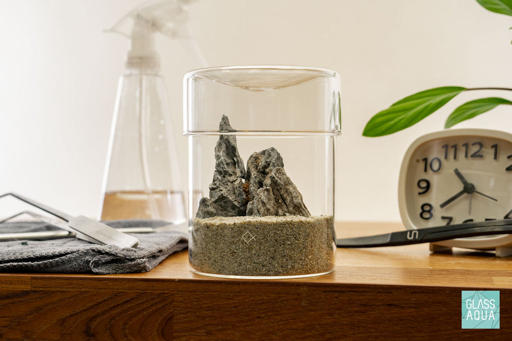 Miniature Terrarium Kit 012 - Glass Aqua