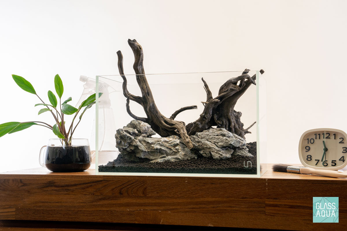 Quick Scape 111 | Custom Aquascape Layout for Planted Aquarium Tank