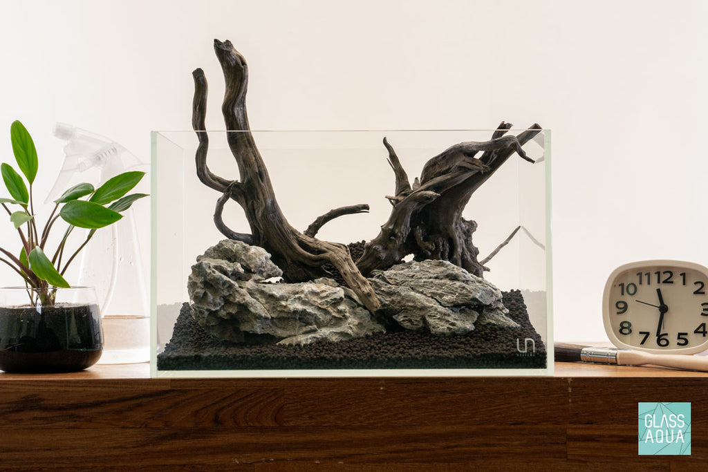 Quick Scape 111 | Custom Aquascape Layout for Planted Aquarium Tank
