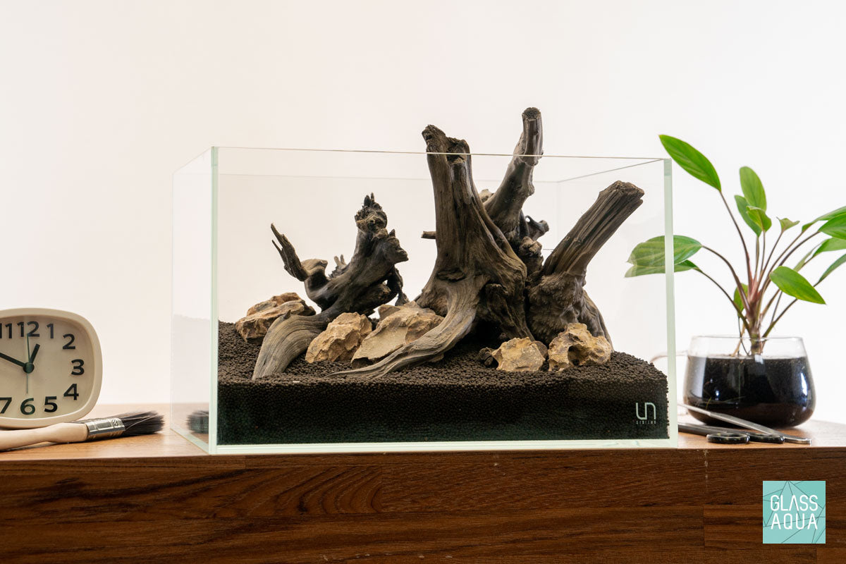Quick Scape 113 | Custom Aquascape Layout for Planted Aquarium Tank