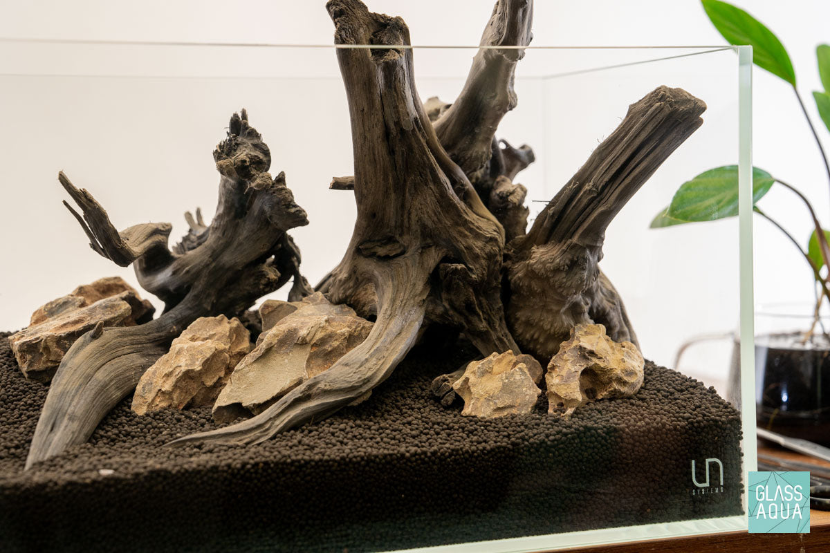 Quick Scape 113 | Custom Aquascape Layout for Planted Aquarium Tank