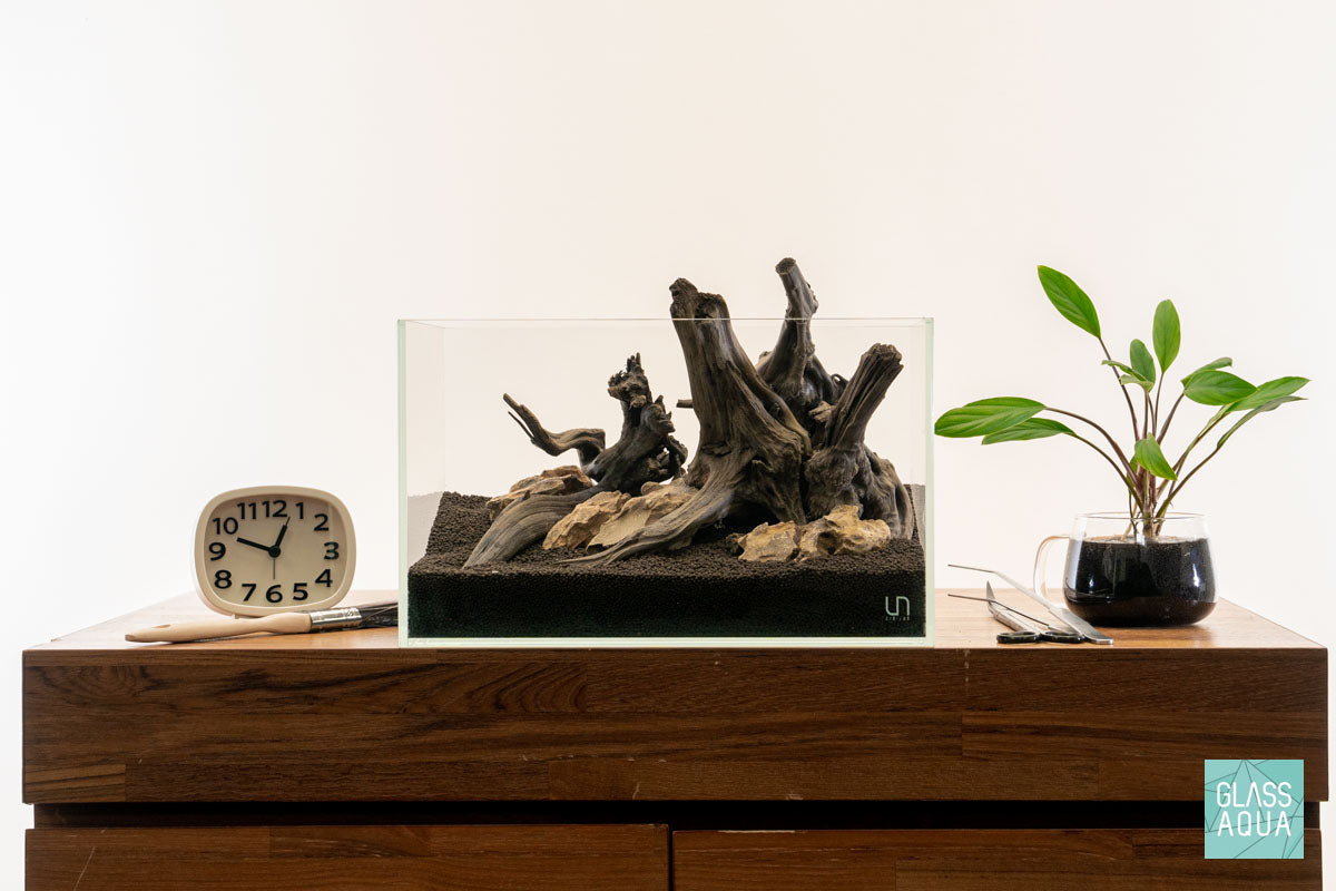 Quick Scape 113 | Custom Aquascape Layout for Planted Aquarium Tank